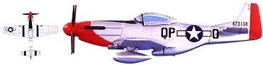 Mustang P-51 North Am.   1:100